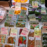 Produits de saison (noix de ginko, micro-tomates, jeunes pousses de tara, yuzu, têtes de violon et autres délices aromatiques)