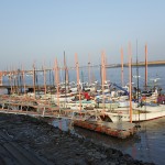 Bateaux de pêcheurs