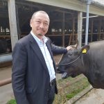 Boeuf Matsusaka à la ferme d'Okada San