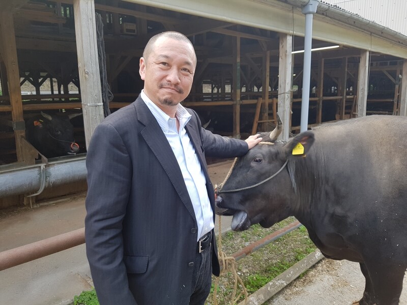 Boeuf Matsusaka à la ferme d'Okada San
