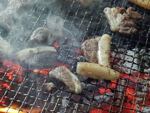 Nishikidôri - Tosa Binchotan : après la visite, dégustation de biche et sanglier cuits au barbecue et binchotan.